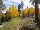 photo thumbnail #6