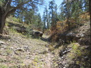 photo thumbnail #5