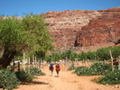 photo thumbnail #4
