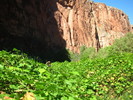 photo thumbnail #13