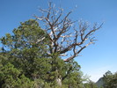photo thumbnail #12