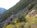 photo thumbnail #14
