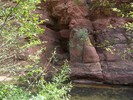 photo thumbnail #15