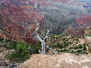 photo thumbnail #3