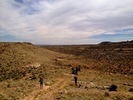 photo thumbnail #2