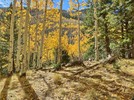 photo thumbnail #7
