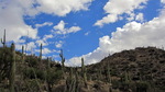 photo thumbnail #8