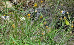 photo thumbnail #15