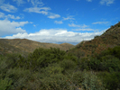 photo thumbnail #2