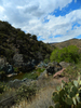 photo thumbnail #8