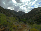 photo thumbnail #9