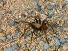 photo thumbnail #13