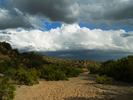 photo thumbnail #14