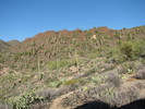 photo thumbnail #5