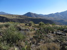 photo thumbnail #8