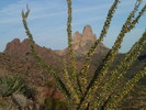 photo thumbnail #4