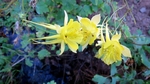 photo thumbnail #3