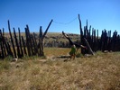 photo thumbnail #14