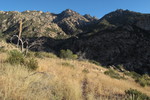 photo thumbnail #10