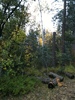 photo thumbnail #10