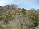 photo thumbnail #3