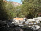 photo thumbnail #7