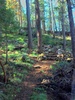 photo thumbnail #5