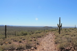 photo thumbnail #4