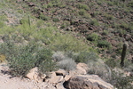 photo thumbnail #7
