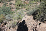 photo thumbnail #10