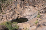 recent photo