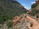 photo thumbnail #9