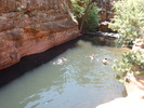 photo thumbnail #15