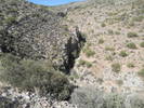 photo thumbnail #12