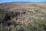 photo thumbnail #9