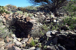photo thumbnail #14