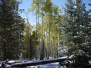 photo thumbnail #3