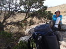 photo thumbnail #5