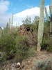 photo thumbnail #1