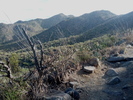 photo thumbnail #2