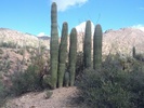 photo thumbnail #6