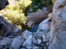 Featured Full Photo