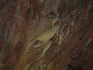 photo thumbnail #15