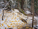 photo thumbnail #5