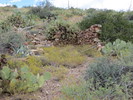 photo thumbnail #11