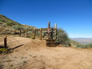 photo thumbnail #2