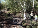 photo thumbnail #1