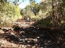 photo thumbnail #3