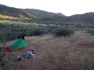 photo thumbnail #5