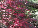 photo thumbnail #14